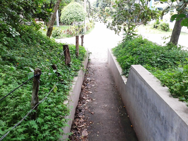 Universidad de El Salvador 2013 10