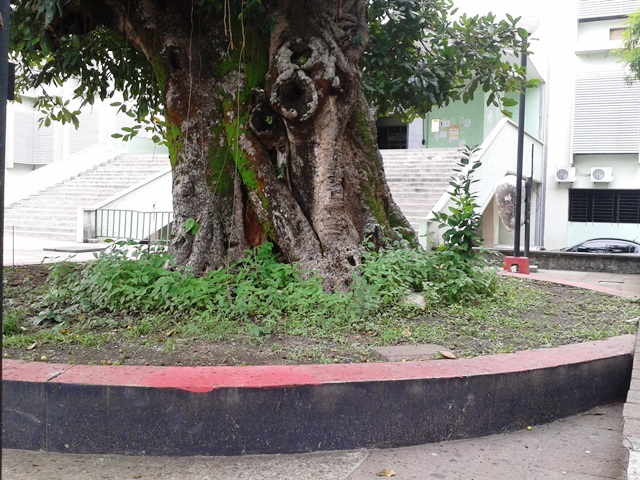 Universidad de El Salvador 2013 8