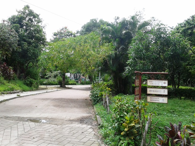 Universidad de El Salvador 2013