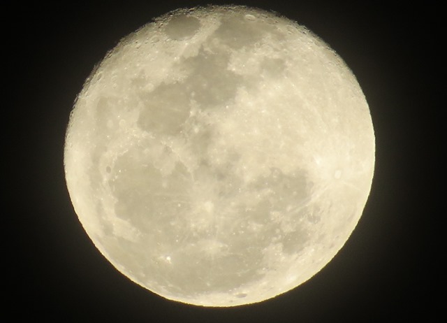 ???????????????????????????????