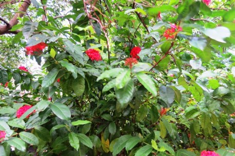 ???????????????????????????????