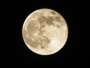 LUNA IMG_7090 - copia
