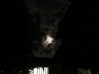 LUNA IMG_7091 - copia