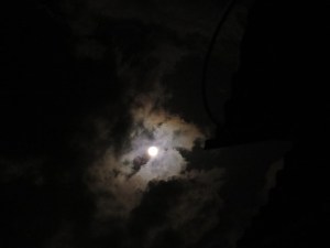 LUNA IMG_7092 - copia
