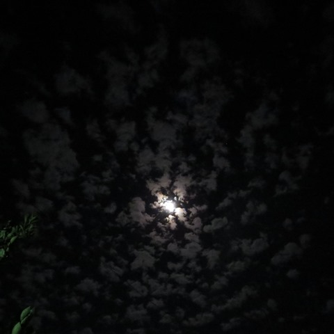 LUNA, Óscar Perdomo León IMG_8446 - copia