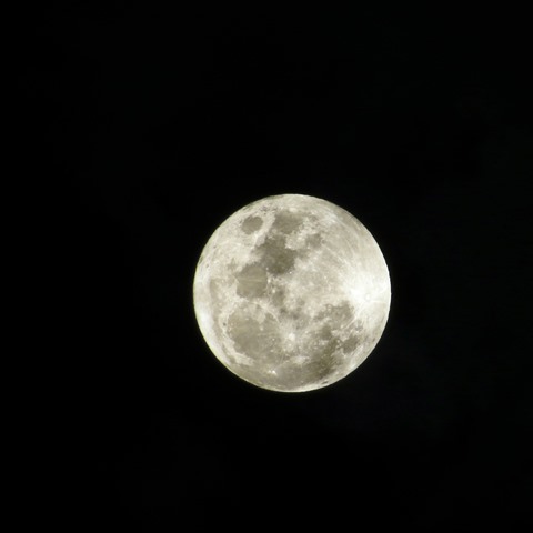 LUNA, Óscar Perdomo León IMG_8449 - copia