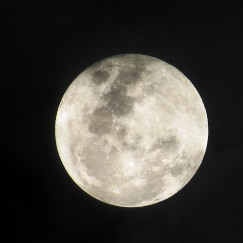LUNA, Óscar Perdomo León IMG_8450 - copia
