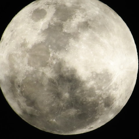 LUNA, Óscar Perdomo León IMG_8456 - copia