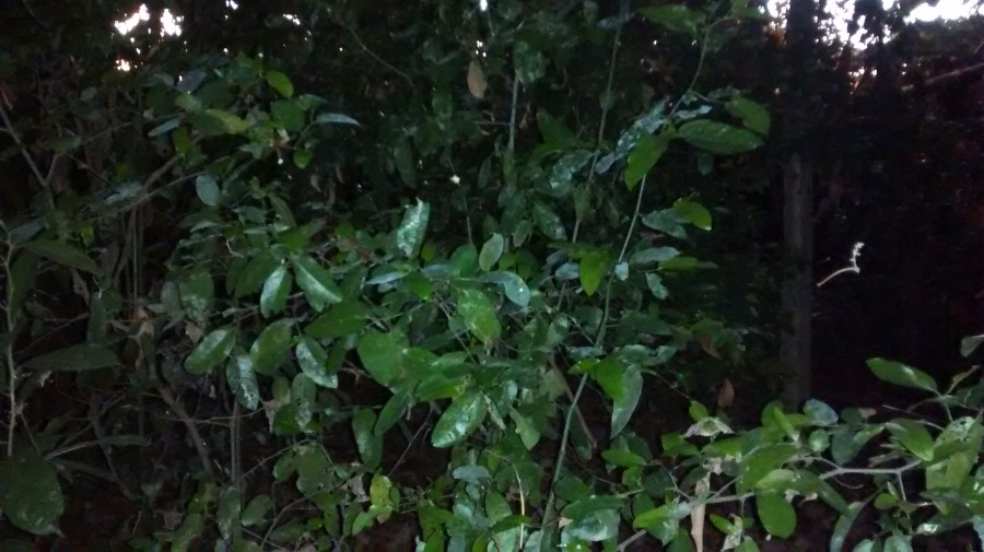 IMG_20160321_182016666