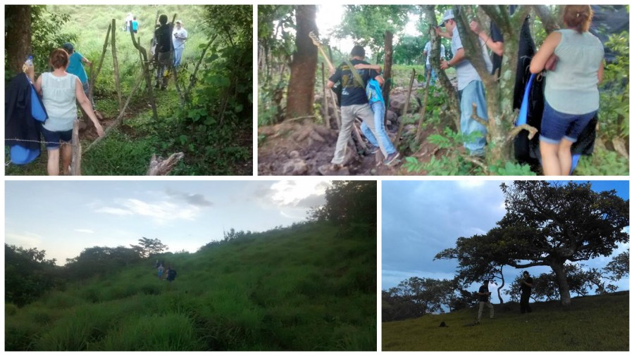 Collage en el Ocotillo