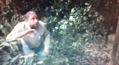 NOS SEGUIMOS LOS PASOS. Óscar Perdomo León. 2