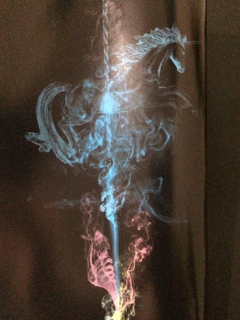 Carruseles, contraportada, novela. Óscar Perdomo León