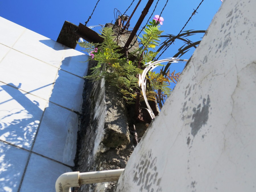 Hay que seguir haciendo arte, aunque vivamos en suelo árido. 1